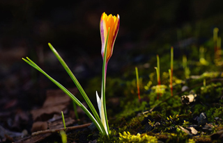 北京网页设计与网站建设的创新与实施 