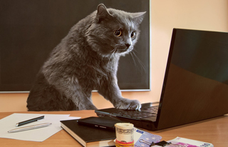 北京网页设计的时候需要注意什么？ 